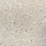 trails // xsmall terrazzo // exterior paver // sample