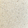 trails // xsmall terrazzo // exterior paver // sample