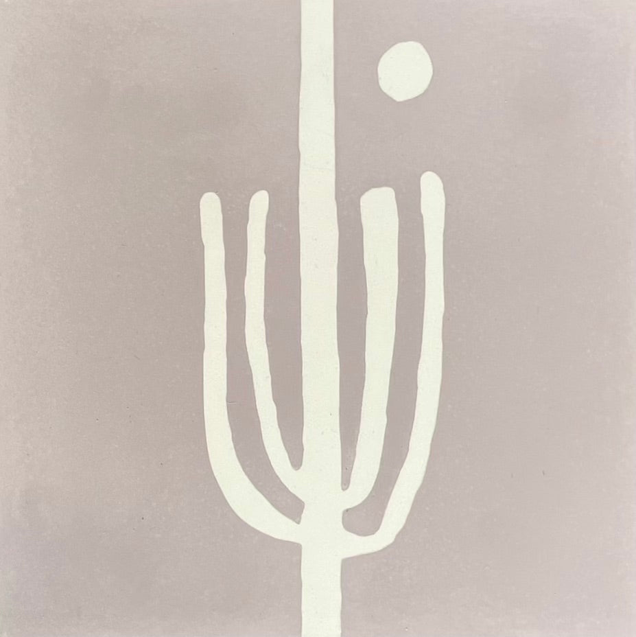 saguaro  //  box of 13  //  indio x