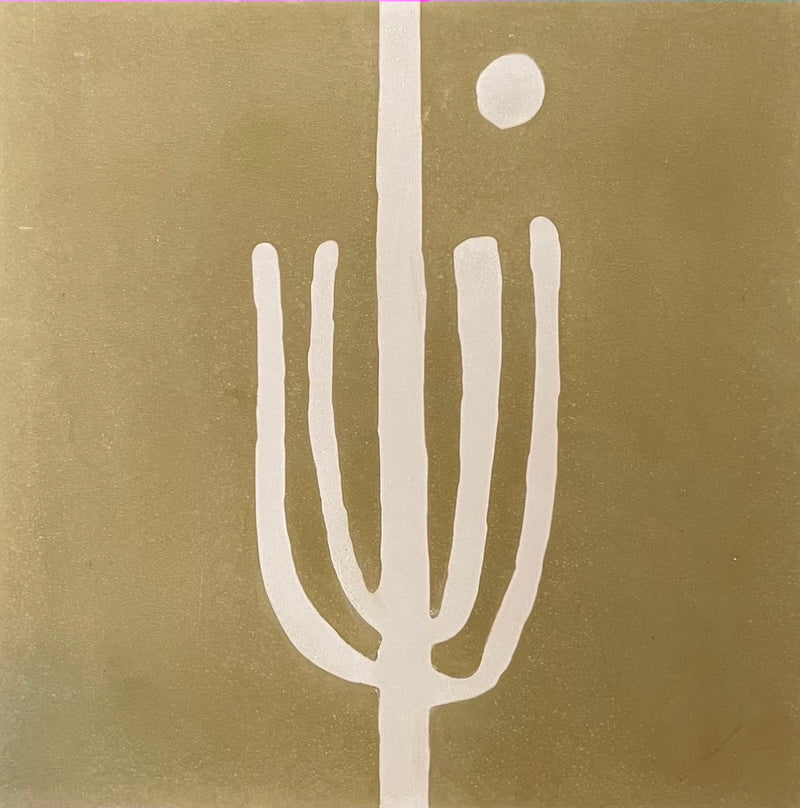 saguaro  //  box of 13  //  indio x