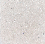 trails // xsmall terrazzo // exterior paver // sample